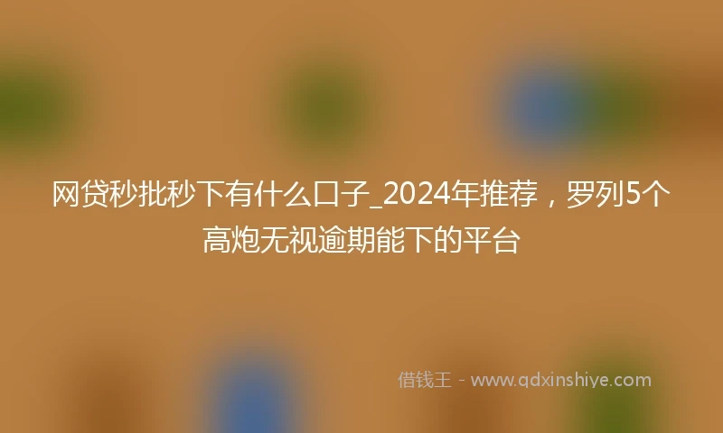 网贷秒批秒下有什么口子_2024年推荐,罗列5个高炮无视逾期能下的平台