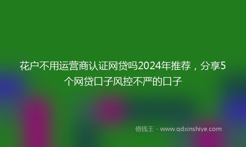 花户不用运营商认证网贷吗2024年推荐，分享5个网贷口子风控不严的口子