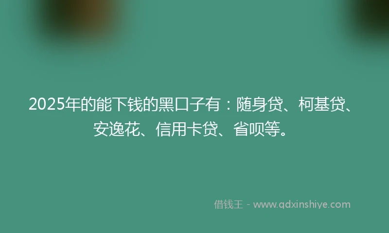 2025年的能下钱的黑口子有：随身贷、柯基贷、安逸花、信用卡贷、省呗等。