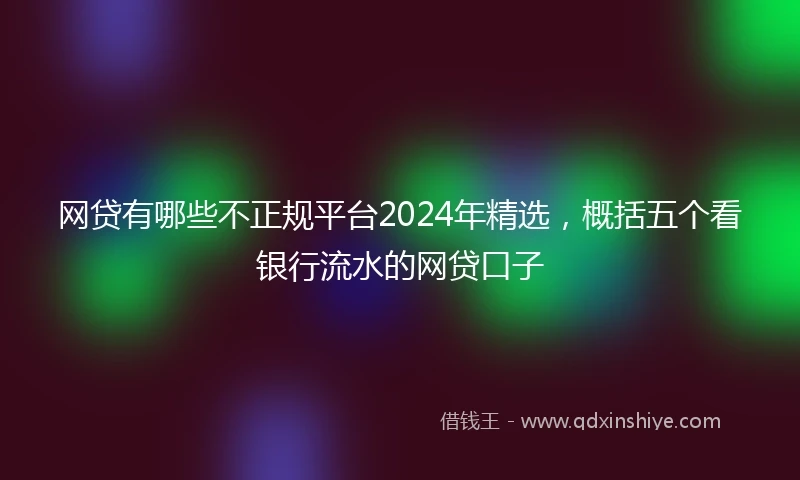 网贷有哪些不正规平台2024年精选，概括五个看银行流水的网贷口子
