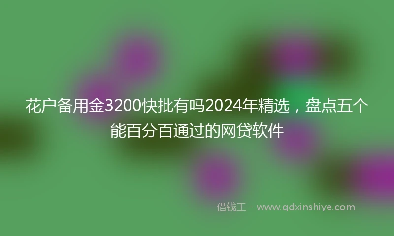 花户备用金3200快批有吗2024年精选，盘点五个能百分百通过的网贷软件