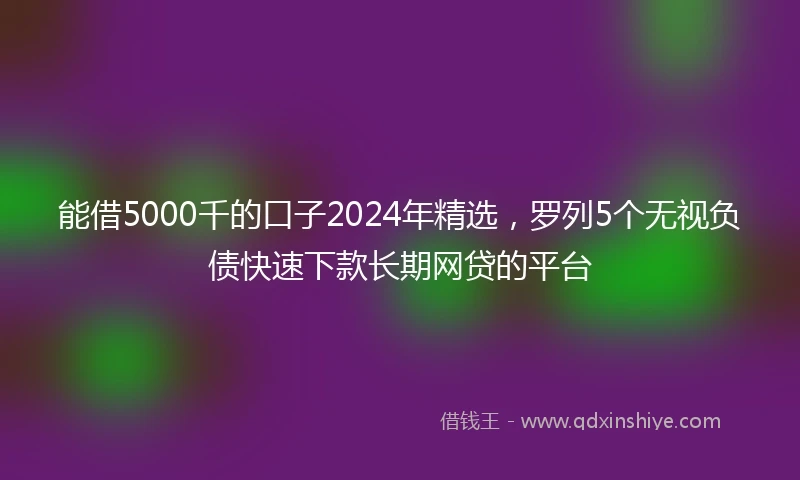 能借5000千的口子2024年精选，罗列5个无视负债快速下款长期网贷的平台