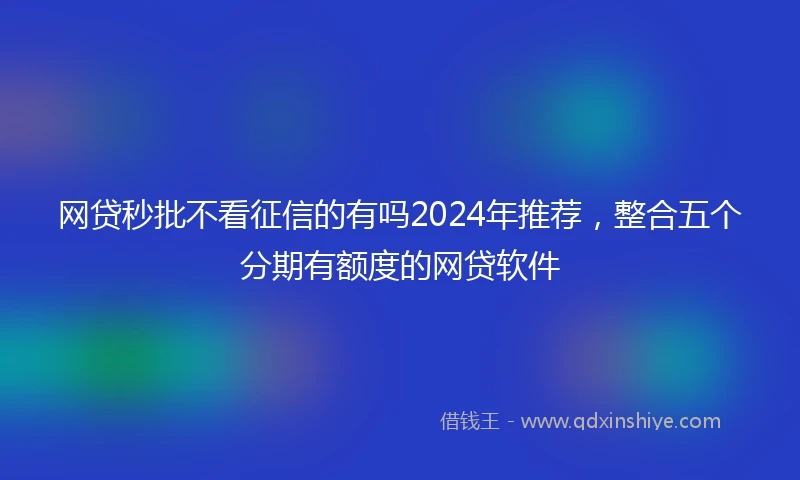 网贷秒批不看征信的有吗2024年推荐，整合五个分期有额度的网贷软件