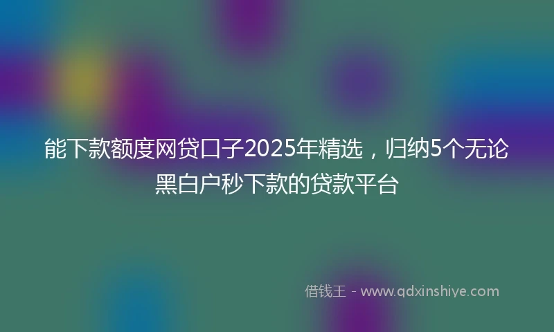 能下款额度网贷口子2025年精选，归纳5个无论黑白户秒下款的贷款平台