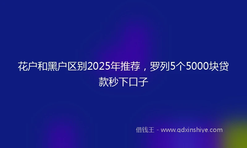 花户和黑户区别2025年推荐，罗列5个5000块贷款秒下口子