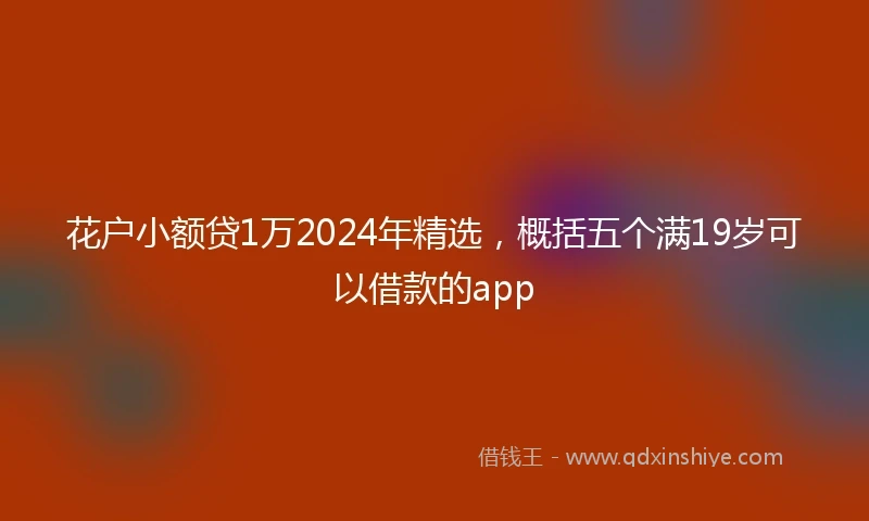 花户小额贷1万2024年精选，概括五个满19岁可以借款的app