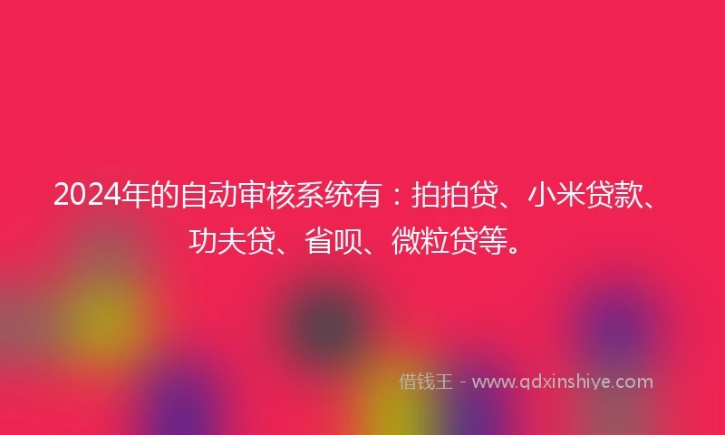 2024年的自动审核系统有：拍拍贷、小米贷款、功夫贷、省呗、微粒贷等。