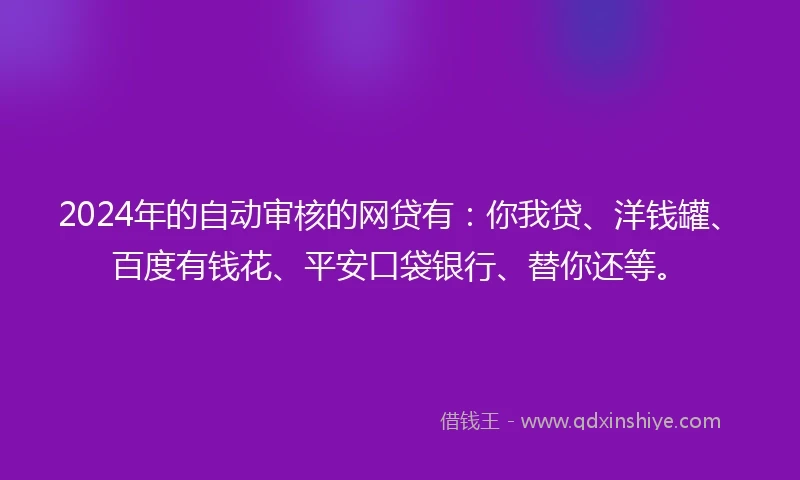 2024年的自动审核的网贷有：你我贷、洋钱罐、百度有钱花、平安口袋银行、替你还等。