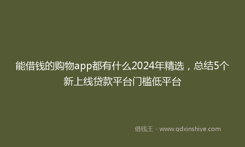 能借钱的购物app都有什么2024年精选，总结5个新上线贷款平台门槛低平台