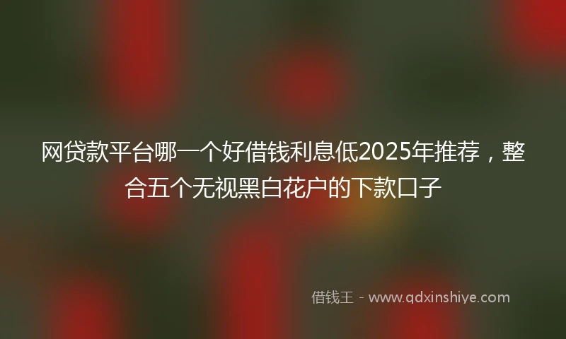 网贷款平台哪一个好借钱利息低2025年推荐，整合五个无视黑白花户的下款口子