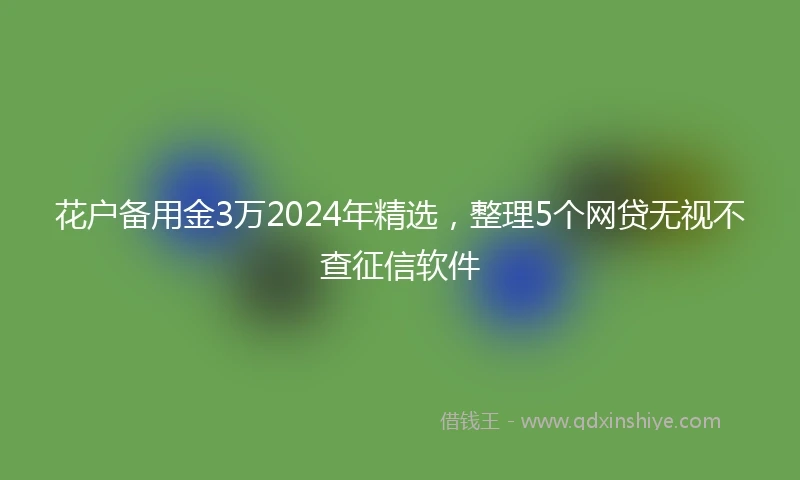 花户备用金3万2024年精选，整理5个网贷无视不查征信软件