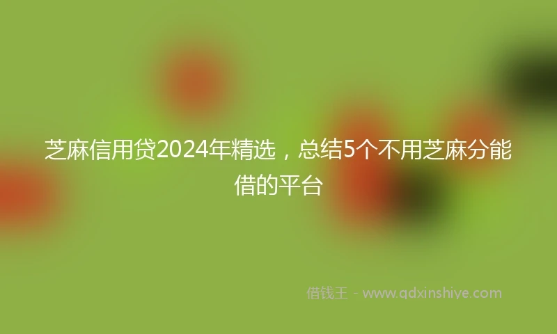 芝麻信用贷2024年精选，总结5个不用芝麻分能借的平台