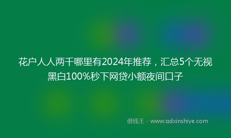 花户人人两千哪里有2024年推荐，汇总5个无视黑白100%秒下网贷小额夜间口子