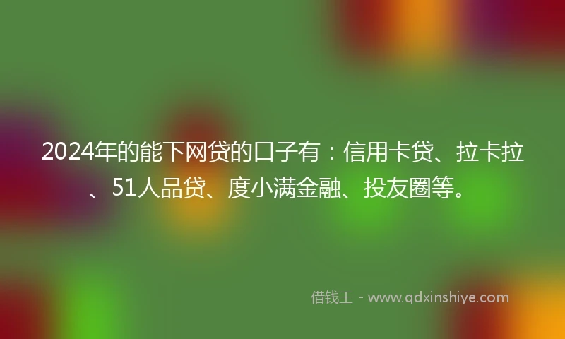 2024年的能下网贷的口子有：信用卡贷、拉卡拉、51人品贷、度小满金融、投友圈等。
