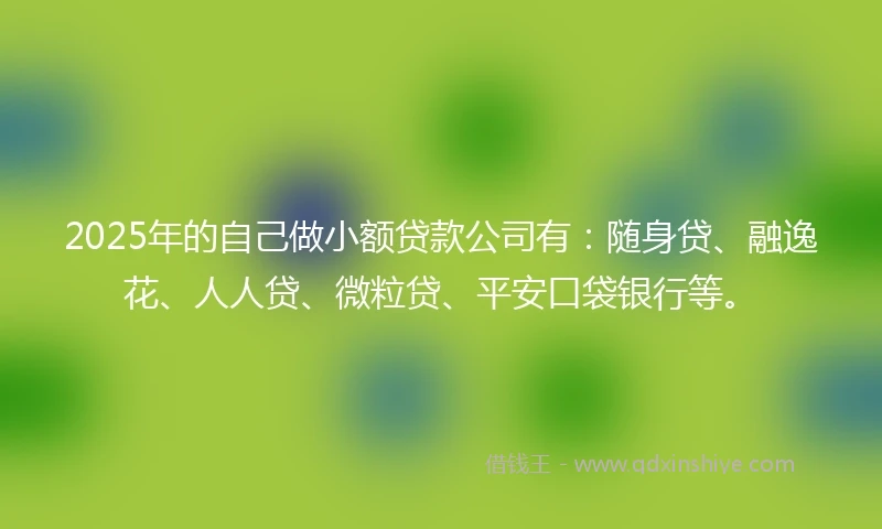2025年的自己做小额贷款公司有：随身贷、融逸花、人人贷、微粒贷、平安口袋银行等。