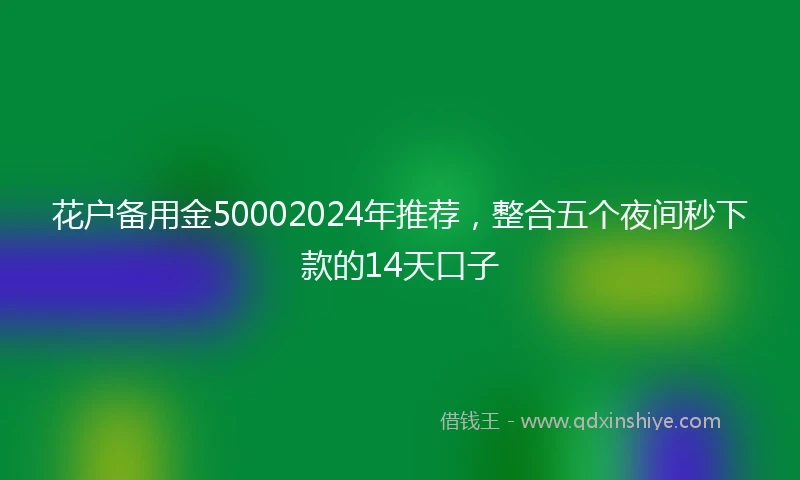 花户备用金50002024年推荐，整合五个夜间秒下款的14天口子
