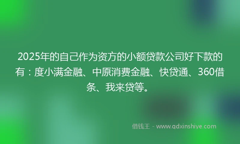 2025年的自己作为资方的小额贷款公司好下款的有：度小满金融、中原消费金融、快贷通、360借条、我来贷等。