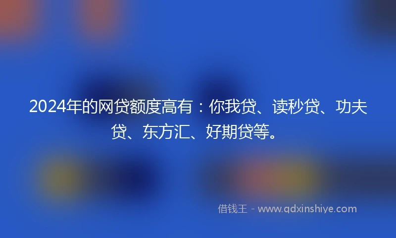 2024年的网贷额度高有：你我贷、读秒贷、功夫贷、东方汇、好期贷等。