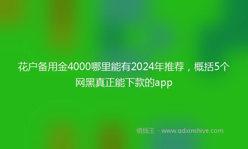 花户备用金4000哪里能有2024年推荐，概括5个网黑真正能下款的app