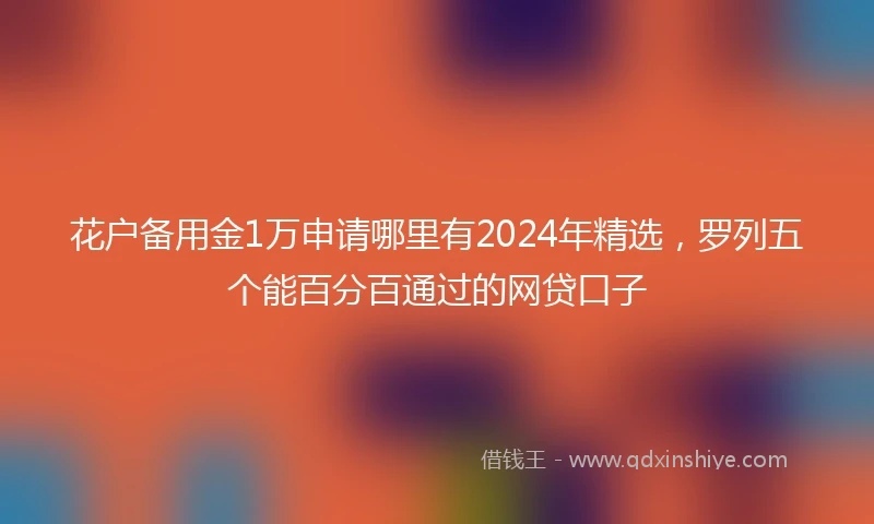 花户备用金1万申请哪里有2024年精选，罗列五个能百分百通过的网贷口子
