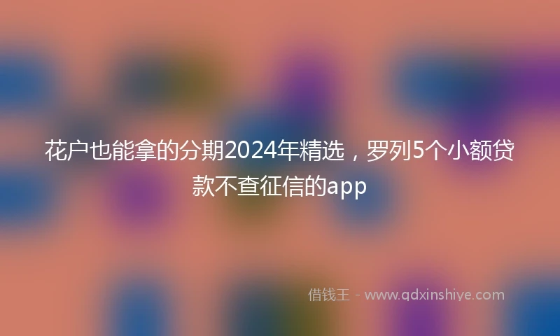 花户也能拿的分期2024年精选，罗列5个小额贷款不查征信的app