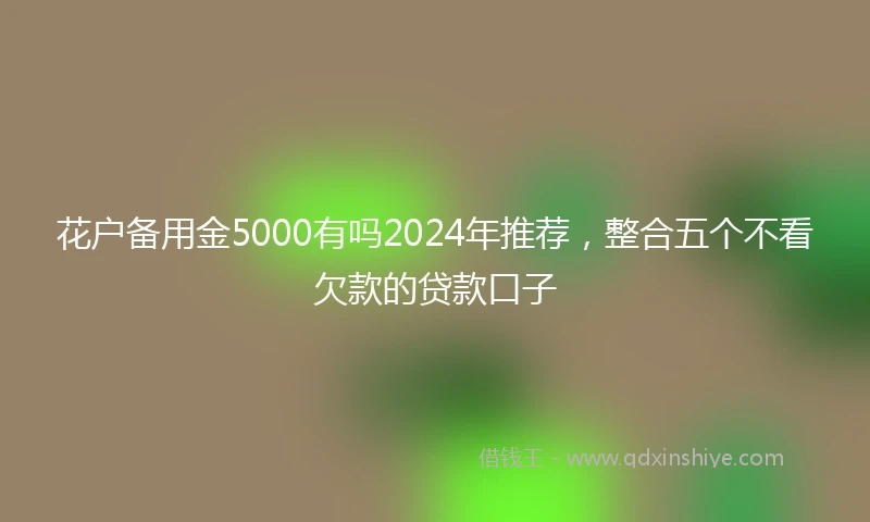 花户备用金5000有吗2024年推荐，整合五个不看欠款的贷款口子