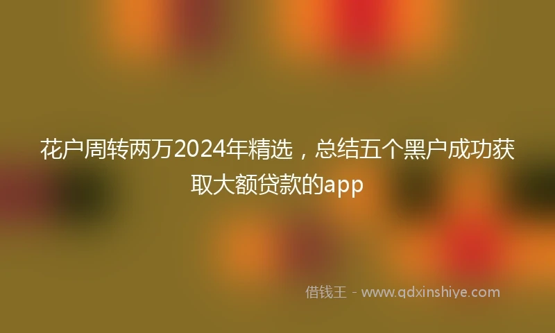 花户周转两万2024年精选，总结五个黑户成功获取大额贷款的app