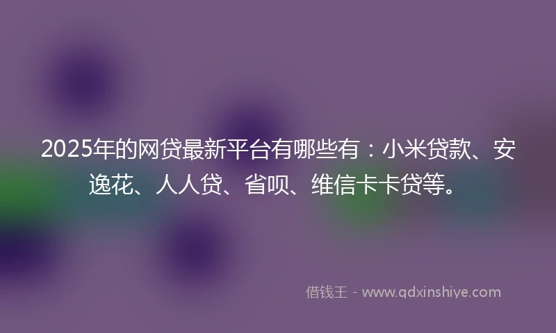 2025年的网贷最新平台有哪些有：小米贷款、安逸花、人人贷、省呗、维信卡卡贷等。