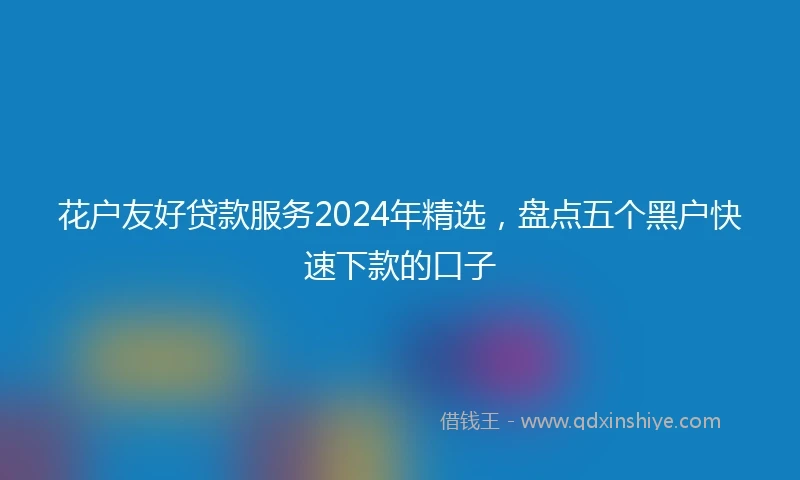花户友好贷款服务2024年精选，盘点五个黑户快速下款的口子