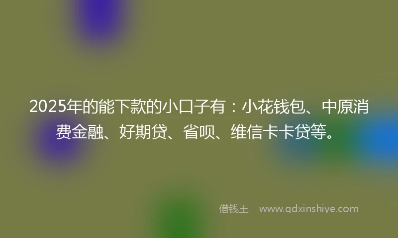 2025年的能下款的小口子有：小花钱包、中原消费金融、好期贷、省呗、维信卡卡贷等。