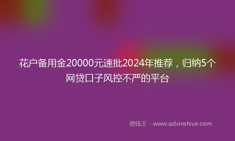 花户备用金20000元速批2024年推荐，归纳5个网贷口子风控不严的平台