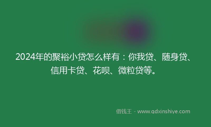 2024年的聚裕小贷怎么样有：你我贷、随身贷、信用卡贷、花呗、微粒贷等。