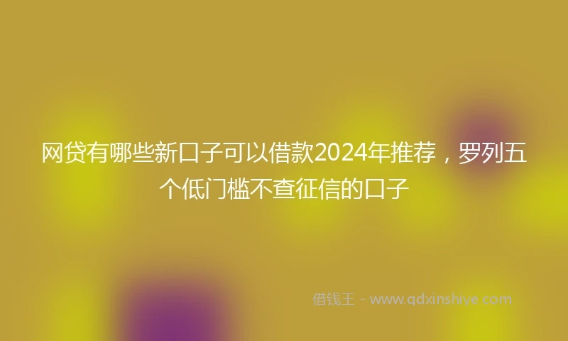 网贷有哪些新口子可以借款2024年推荐，罗列五个低门槛不查征信的口子