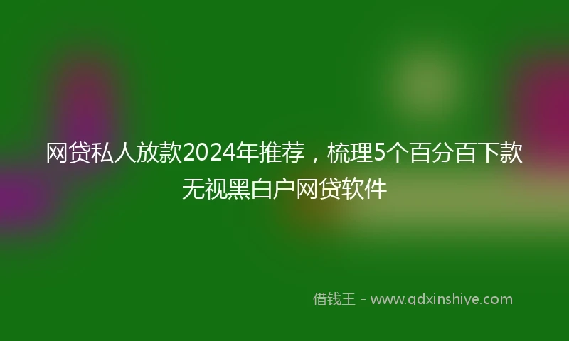 网贷私人放款2024年推荐，梳理5个百分百下款无视黑白户网贷软件