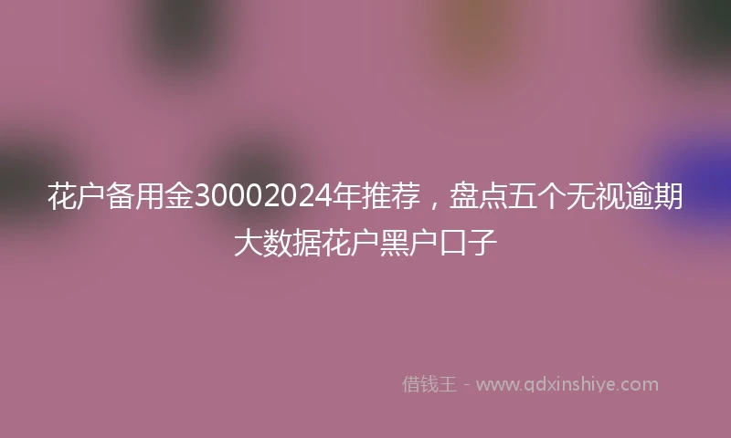 花户备用金30002024年推荐，盘点五个无视逾期大数据花户黑户口子