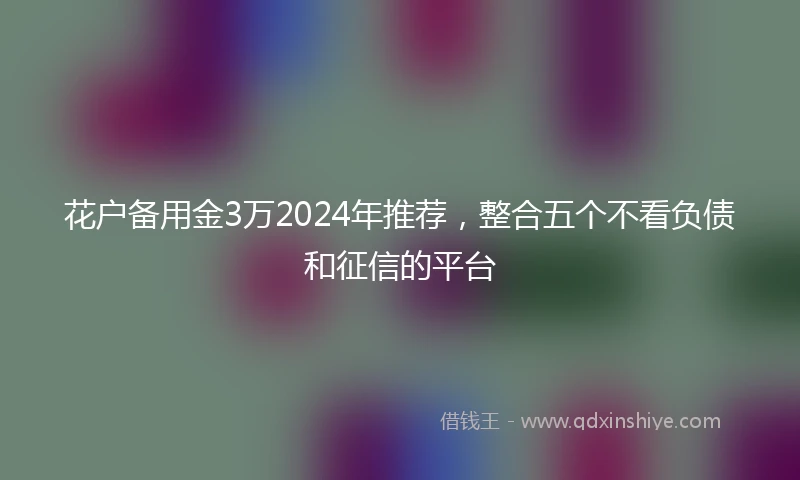 花户备用金3万2024年推荐，整合五个不看负债和征信的平台