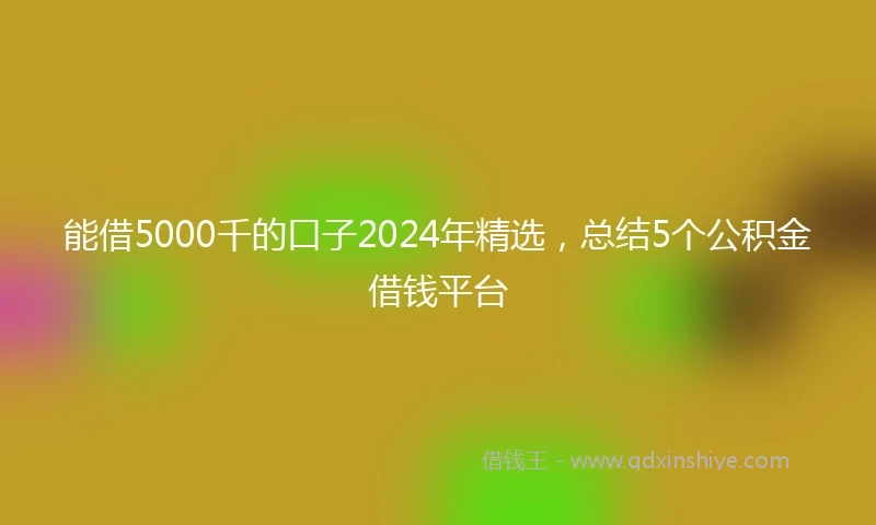能借5000千的口子2024年精选，总结5个公积金借钱平台