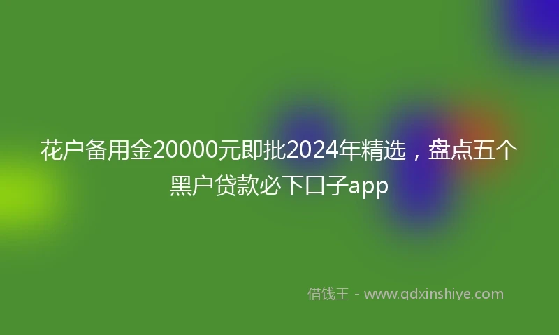 花户备用金20000元即批2024年精选，盘点五个黑户贷款必下口子app