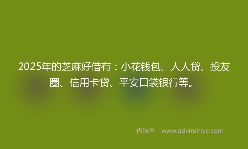 2025年的芝麻好借有：小花钱包、人人贷、投友圈、信用卡贷、平安口袋银行等。