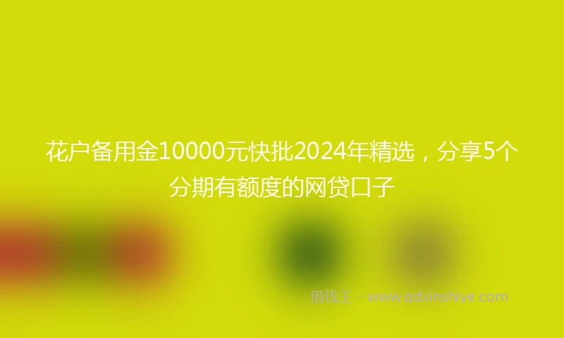 花户备用金10000元快批2024年精选，分享5个分期有额度的网贷口子