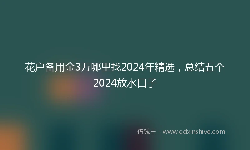 花户备用金3万哪里找2024年精选，总结五个2024放水口子