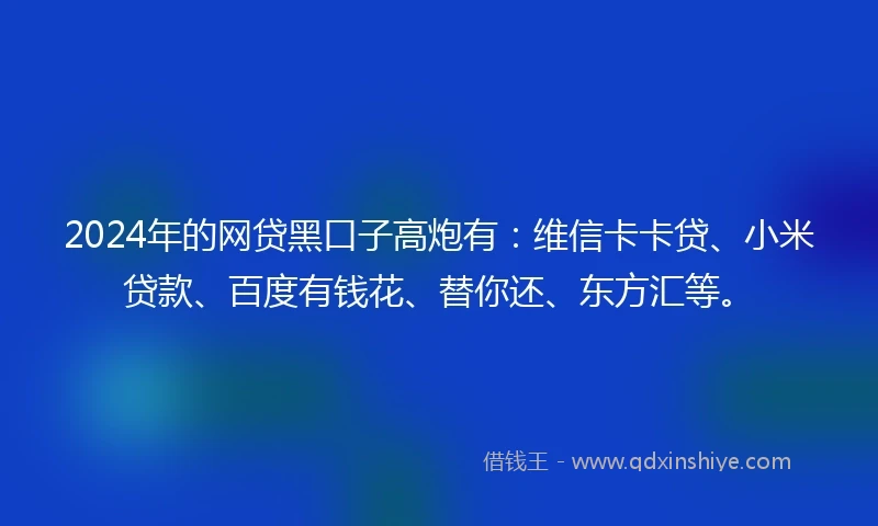 2024年的网贷黑口子高炮有：维信卡卡贷、小米贷款、百度有钱花、替你还、东方汇等。
