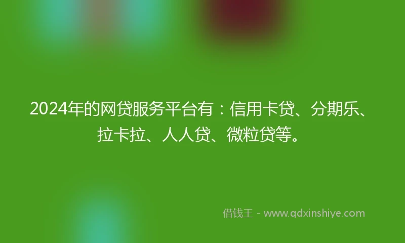 2024年的网贷服务平台有：信用卡贷、分期乐、拉卡拉、人人贷、微粒贷等。