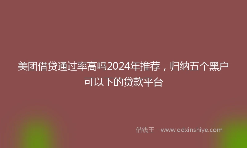 美团借贷通过率高吗2024年推荐，归纳五个黑户可以下的贷款平台
