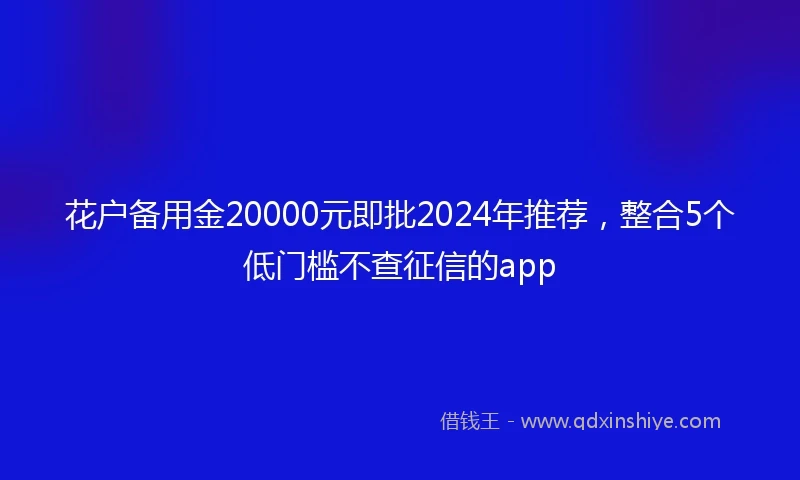 花户备用金20000元即批2024年推荐，整合5个低门槛不查征信的app