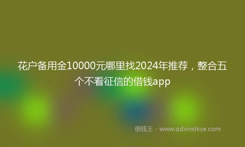 花户备用金10000元哪里找2024年推荐，整合五个不看征信的借钱app