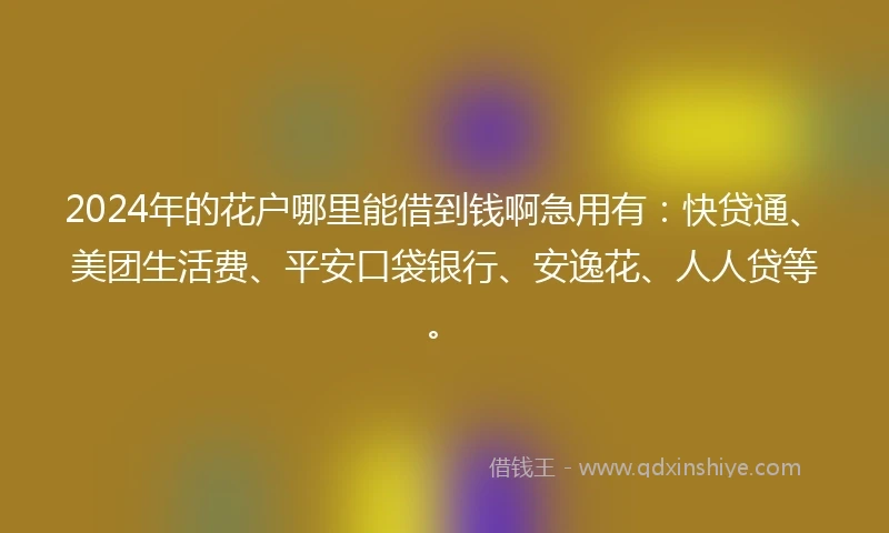 2024年的花户哪里能借到钱啊急用有：快贷通、美团生活费、平安口袋银行、安逸花、人人贷等。