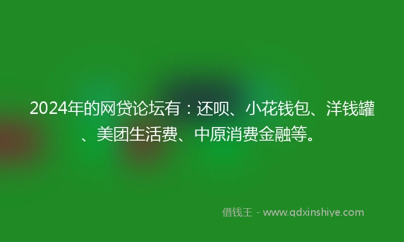 2024年的网贷论坛有：还呗、小花钱包、洋钱罐、美团生活费、中原消费金融等。