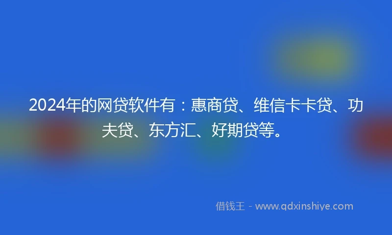 2024年的网贷软件有：惠商贷、维信卡卡贷、功夫贷、东方汇、好期贷等。