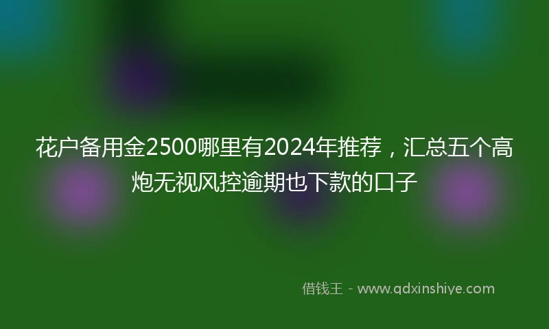 花户备用金2500哪里有2024年推荐，汇总五个高炮无视风控逾期也下款的口子
